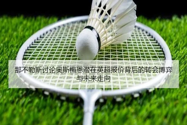 na-bu-le-si-tao-lun-ao-si-mei-en-qian-zai-ying-chao-bao-jia-bei-hou-de-zhuan-hui-bo-yi-yu-wei-lai-zou-xiang-2-929.jpg