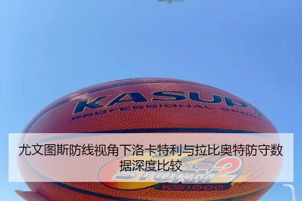 尤文图斯防线视角下洛卡特利与拉比奥特防守数据深度比较